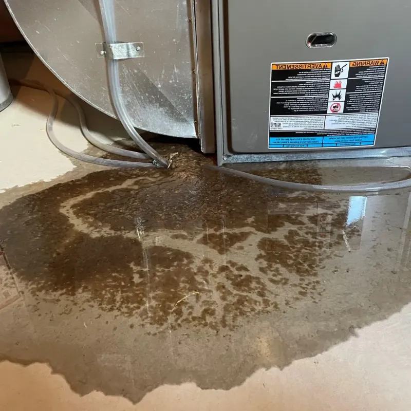 Pipe Burst and Leak Restoration in Hart County, KY
